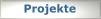 Projekte